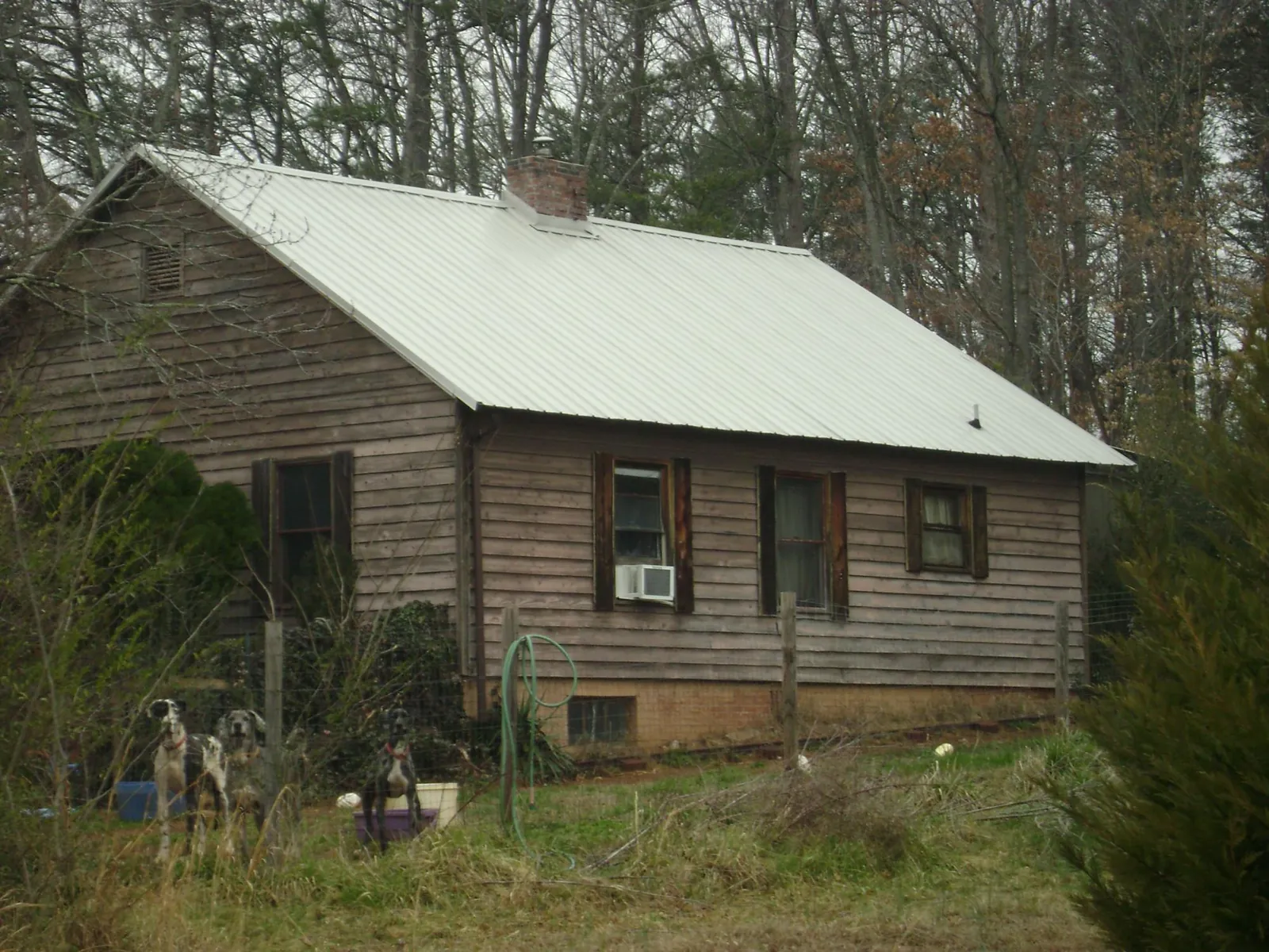 White metal roof on an old wood sided farmhouse, from a Asphalt Shingle Roof Repair job in Haswell